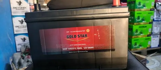 Gold Star 17 Block 90Ah 12v · Photo 1
