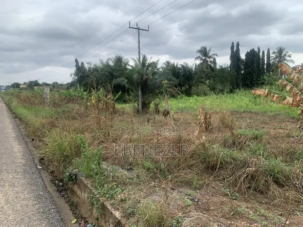 Roadside Land · Photo 4