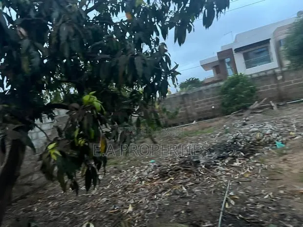 2 Corner Plot of Land for Sale at Adjiringano · Photo 1