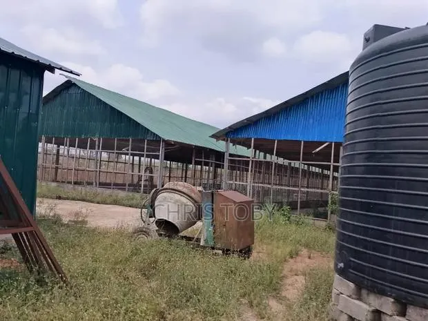 Intended Poultry Farm on 13 Acres of Land · Photo 1