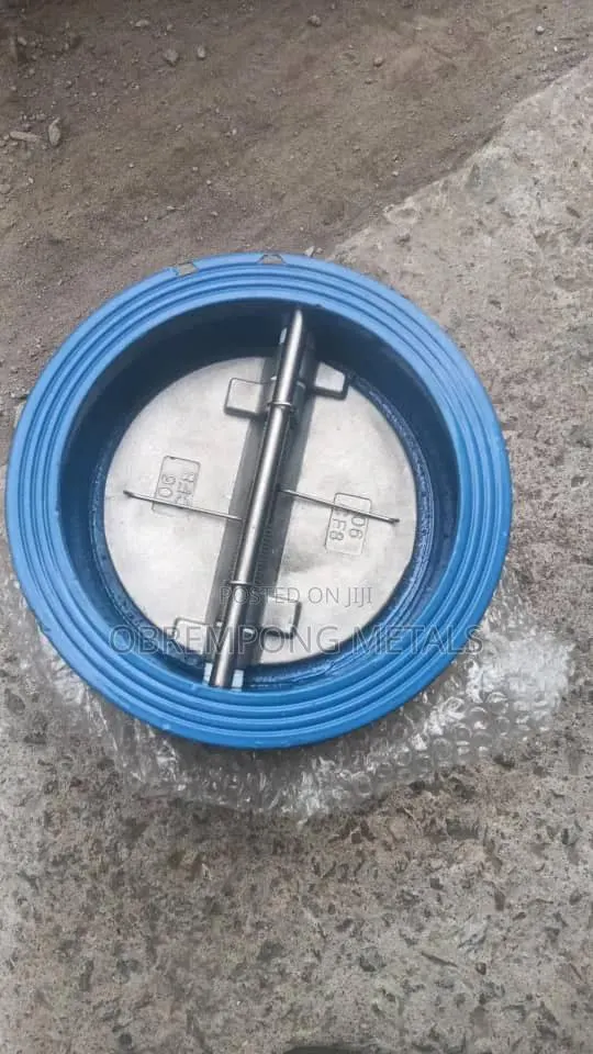 8" Ss Tongue Check Valve or Non Return Valve · Photo 1