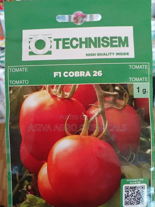 Cobra 26 1gram Tomato Seeds · Photo 2