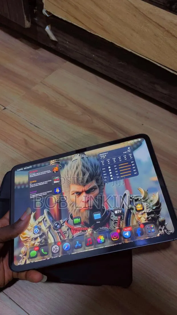 Apple iPad Pro 11 (2024) 256 GB Gray · Photo 1