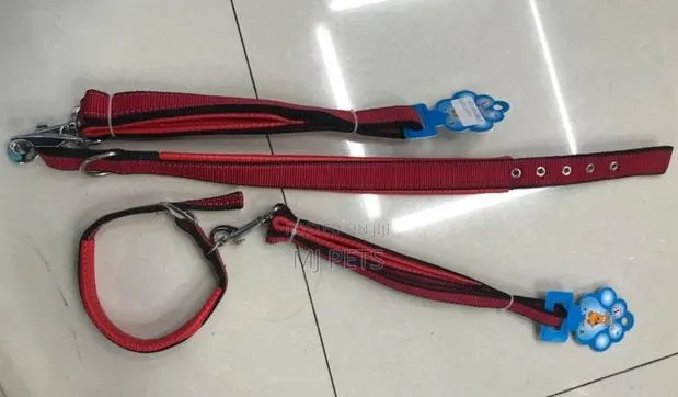 Dog Leash and Collar · Photo 1