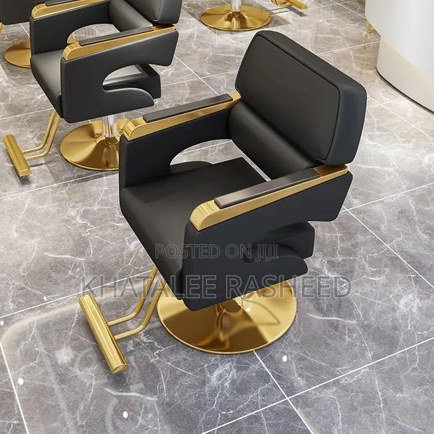 Salon Chair · Photo 1