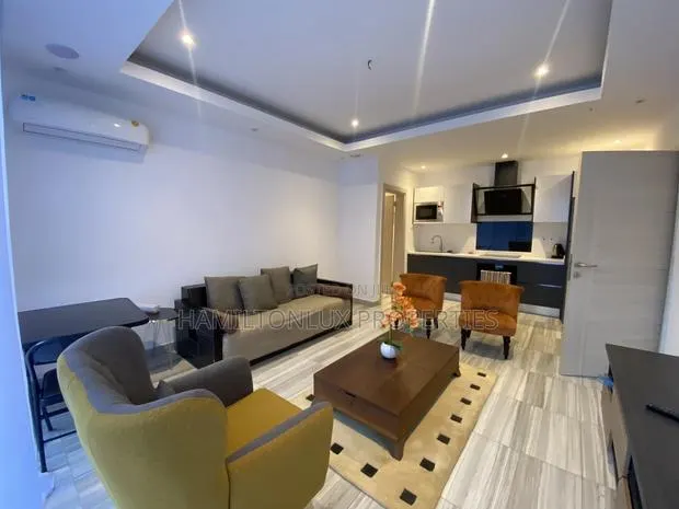 One Bedroom Furnished Apartment in Osu · Photo 1