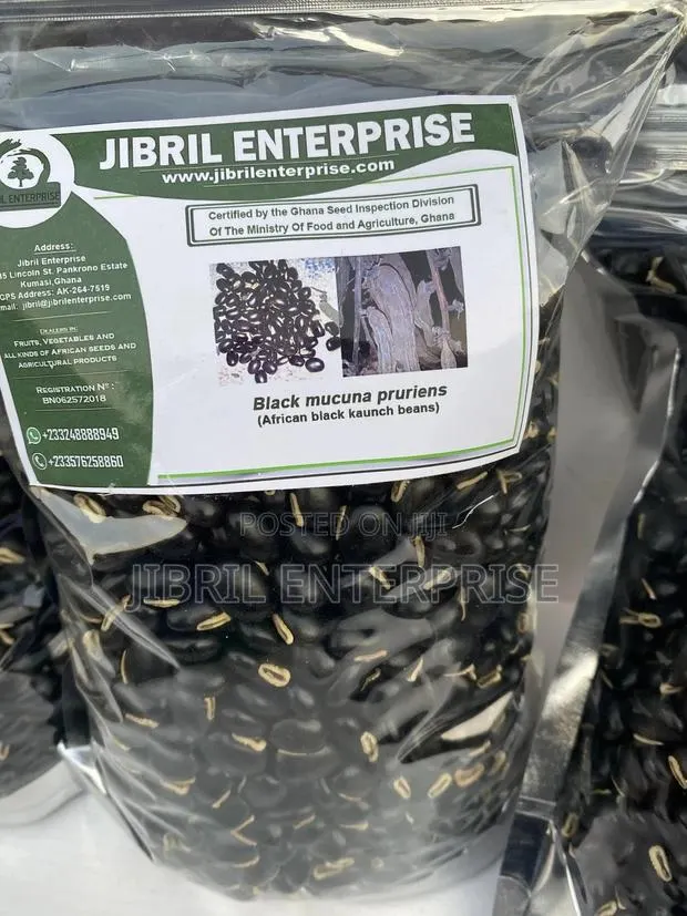 Black Mucuna Pruriens (Black Velvet Beans) · Photo 1