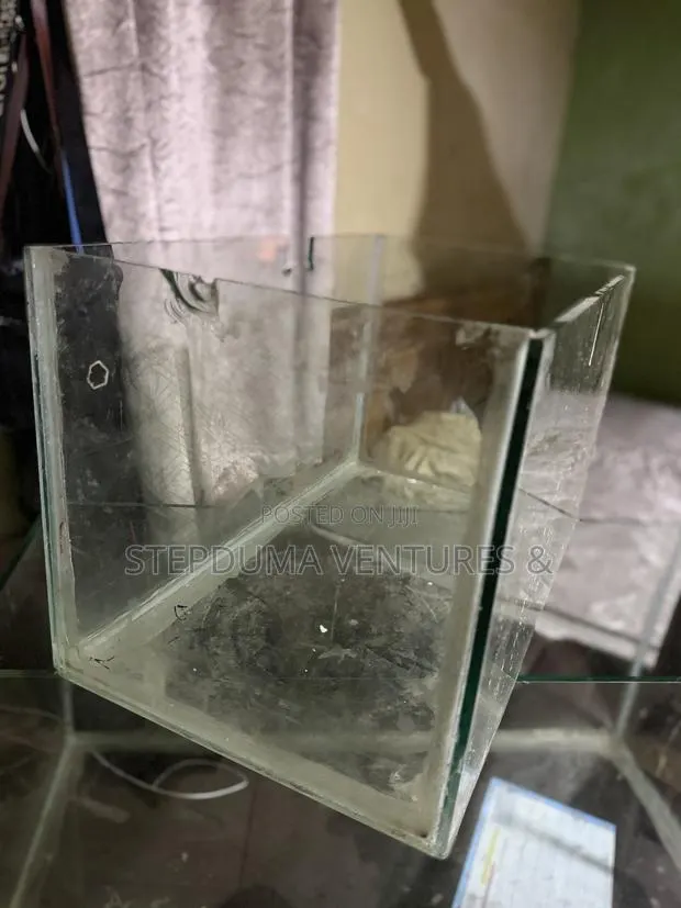 Different Sizes of Aquarium Tanks · Photo 1