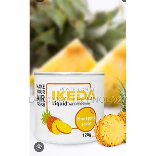 Ikeda Air Freshener Long Lasting Fragrance for Your Home Cars 120g · Photo 1