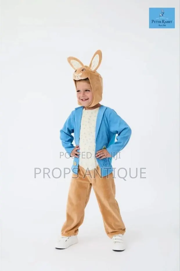 Rabbit or Bunny Costume · Photo 1