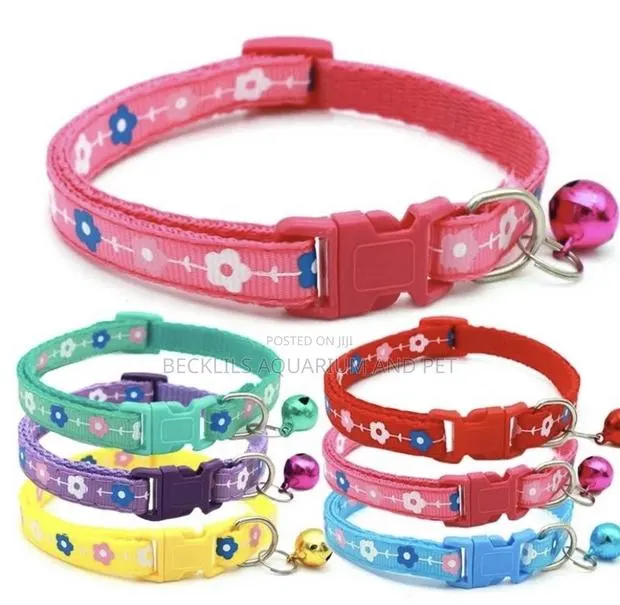 Portable Collars for Dogs N Cat · Photo 1