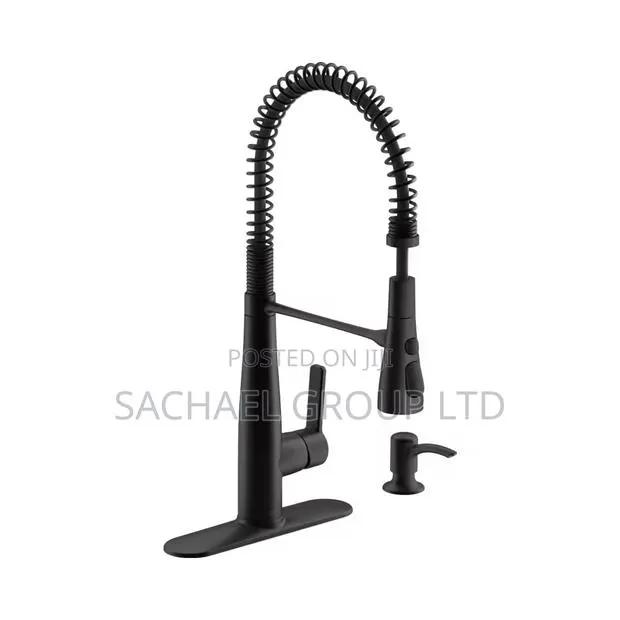 Black Pull Out Kitchen Faucet · Photo 1