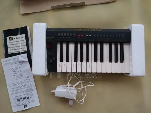 Evolution Mk 125 Midi Keyboard · Photo 1