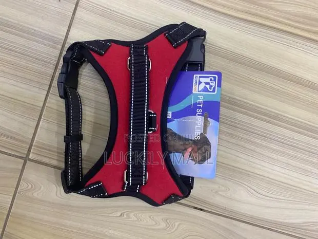 Dog Harness · Photo 1