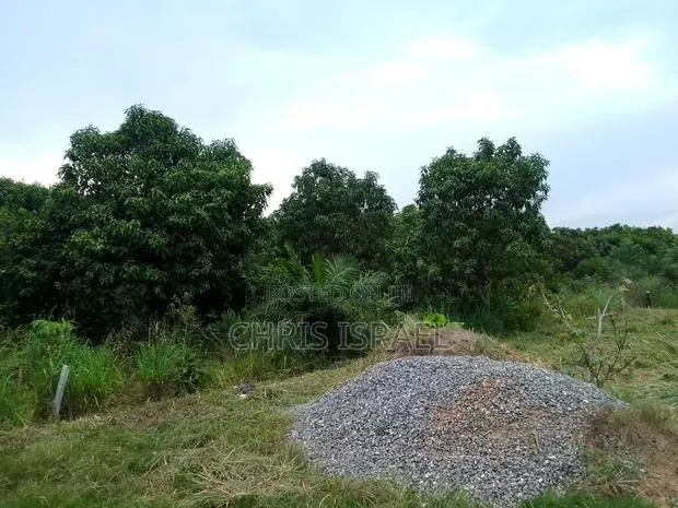 Land for Sale in Adumanya Opata Junction, Dodowa · Photo 1
