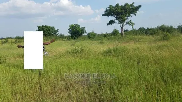 Farm Lands for Sale at KOMENDA · Photo 1