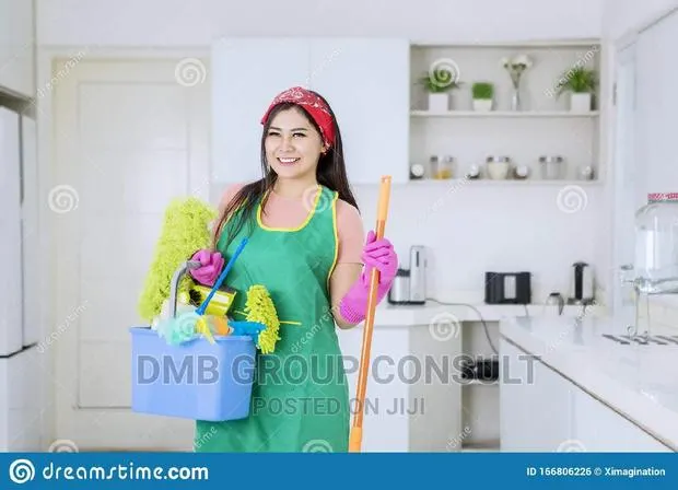 Your House Cleaners · Photo 1