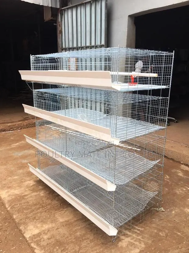 Day Old Cages · Photo 1