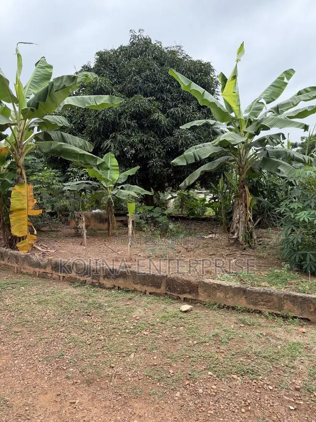 3.5 Plots of Land for Sale at Agric–Aburaso · Photo 1
