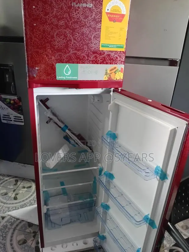 Enjoy Lasting Freshness With Flamino Fridge · Photo 1