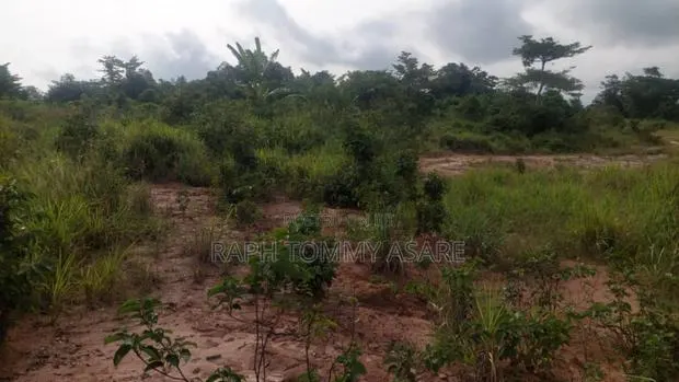 Animal and Crop Farming One and Half Acre Land for Sale