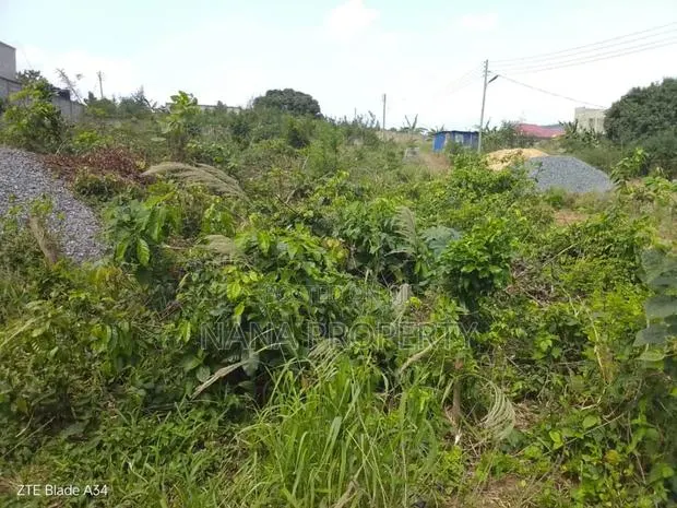 Two Plots of Land for Sale Located at Oyibi Saasabi Junction · Photo 1