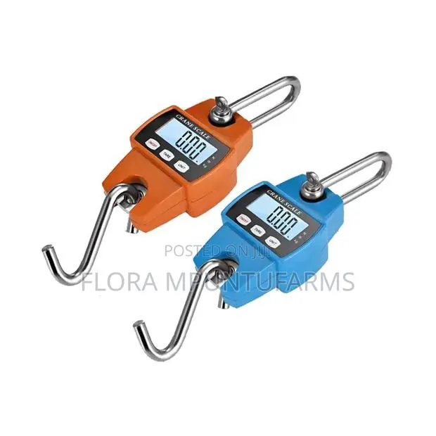 300kg Hanging Scale · Photo 1