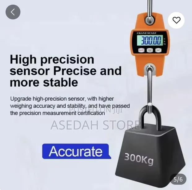 Commercial Crane Scale 300kg · Photo 1