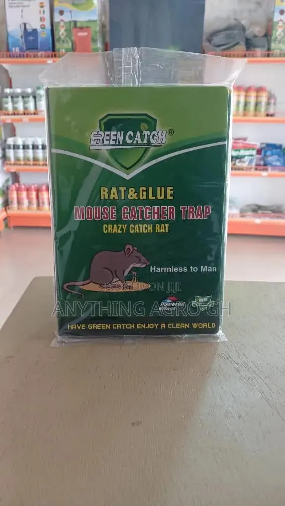 Green Catch ( Rat and Glue) · Photo 1