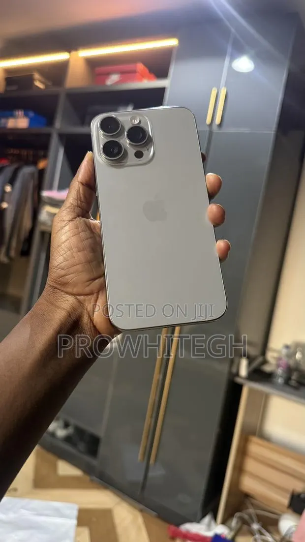 Apple iPhone 15 Pro Max 256 GB Silver · Photo 1