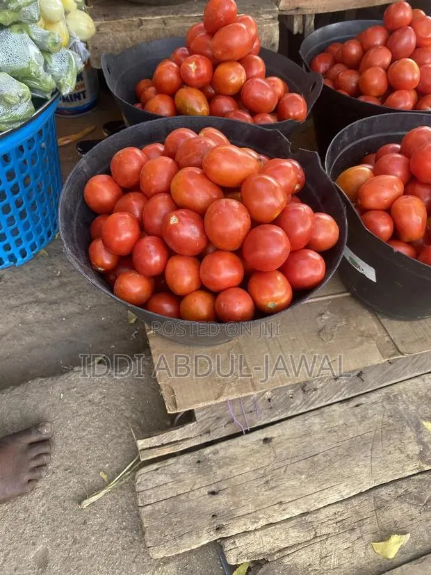 Locally Produced Fresh Tomatoes · Photo 1