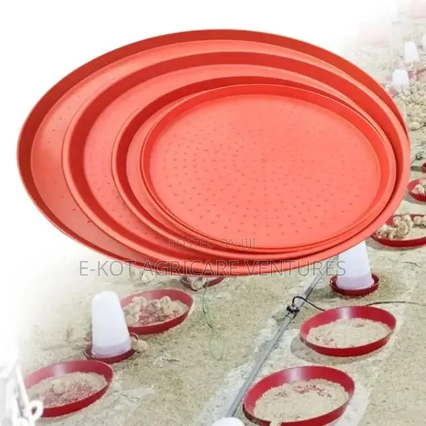 Chicken Feeder Trays · Photo 1