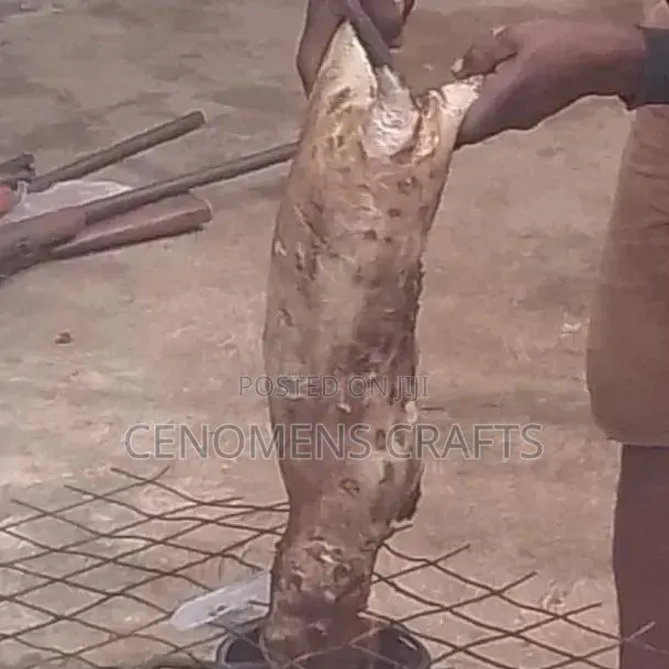 Grass Cutter Meat · Photo 2