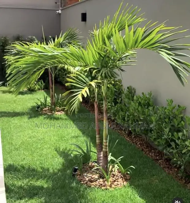 The Garden Designers · Photo 1