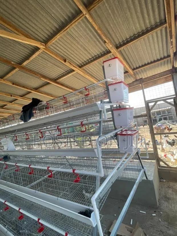 A Type Chicken Cage · Photo 1
