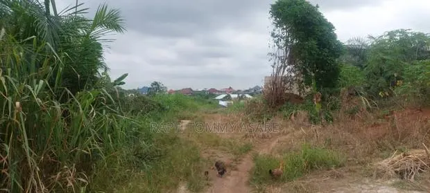 2 Plots of Land for Sale at Kwabere Sarfo Kasaam Mamponteng District · Photo 1
