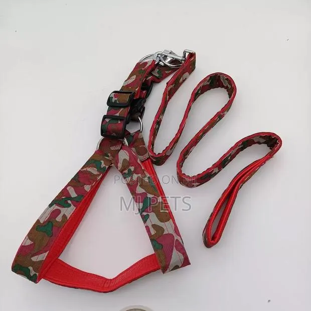 Military Nylon Leash and Harness for Big Dogs · Photo 1