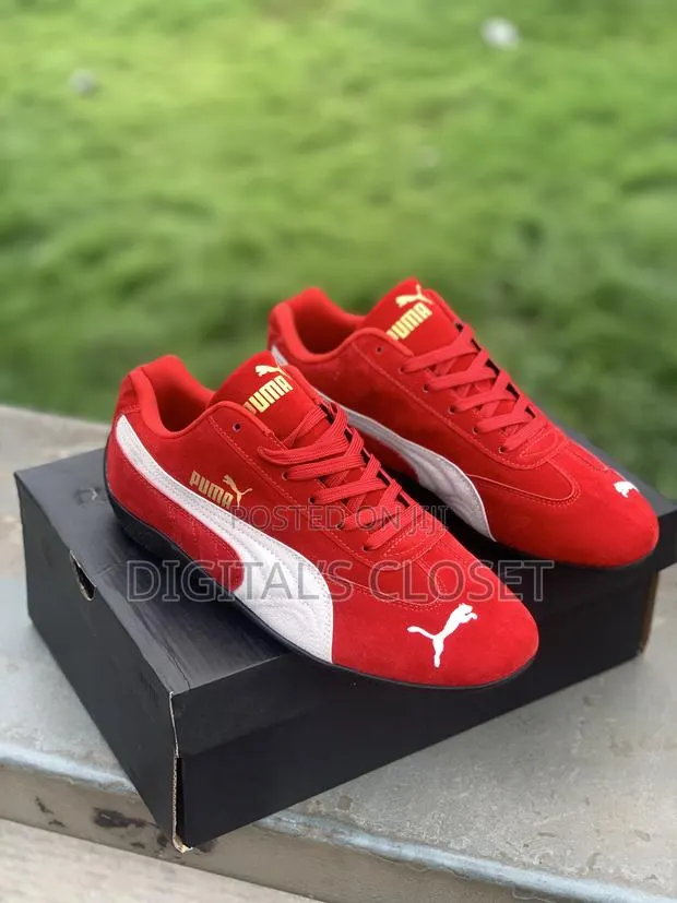 Original Puma Cat · Photo 2