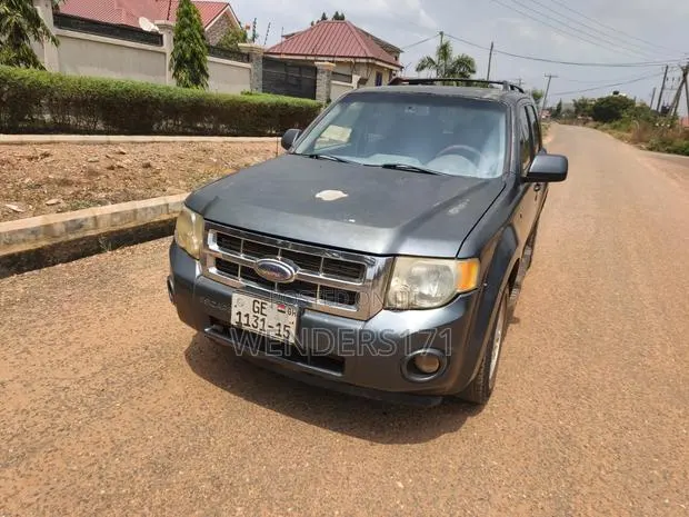Ford Escape XLT 4WD V6 2009 Gray · Photo 1