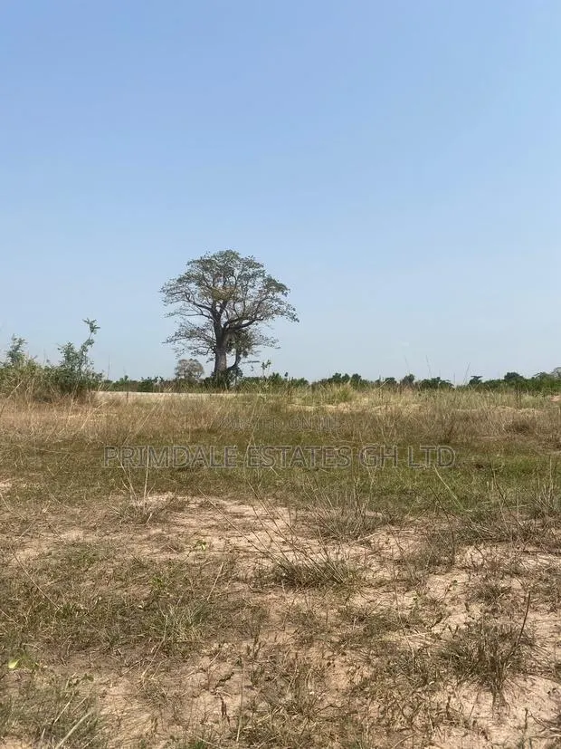 Own Afienya+Land+Property=Now! · Photo 1