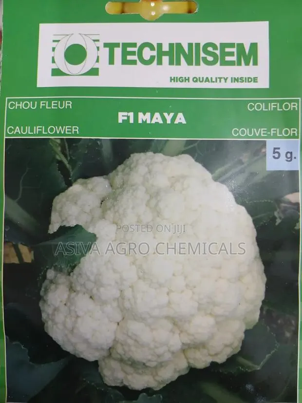 Cauliflower F1 Maya 1gram Seeds · Photo 1