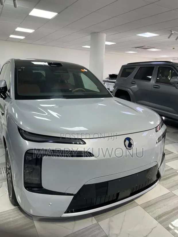 New Denza N9 2.0 Hybrid AWD 2025 Silver · Photo 1