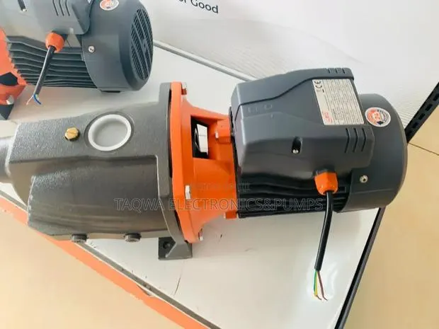 Genuine Cast Leo 2hp Water Pump · Photo 1