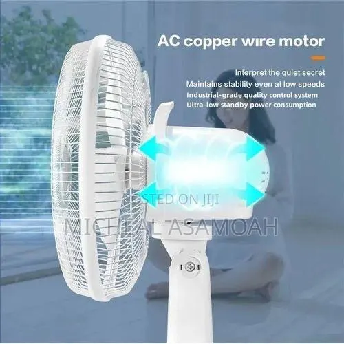 Solar Fans · Photo 1