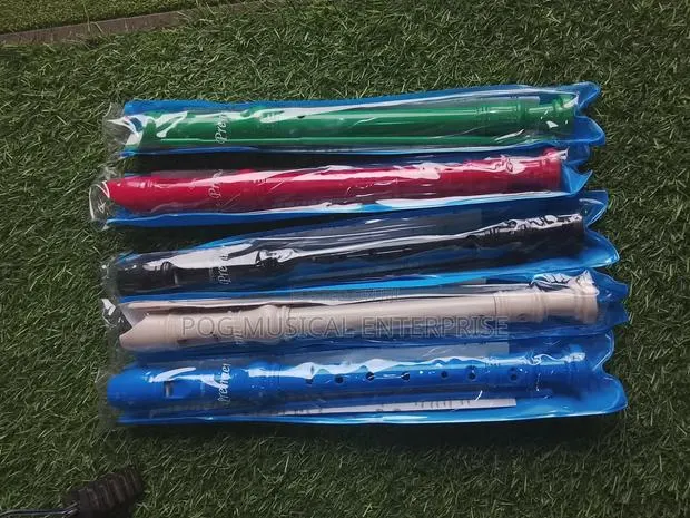 Recorder( Flute) · Photo 1