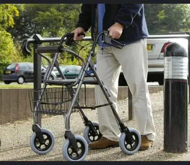 Rollator Walker (With Back Rest) · Photo 1
