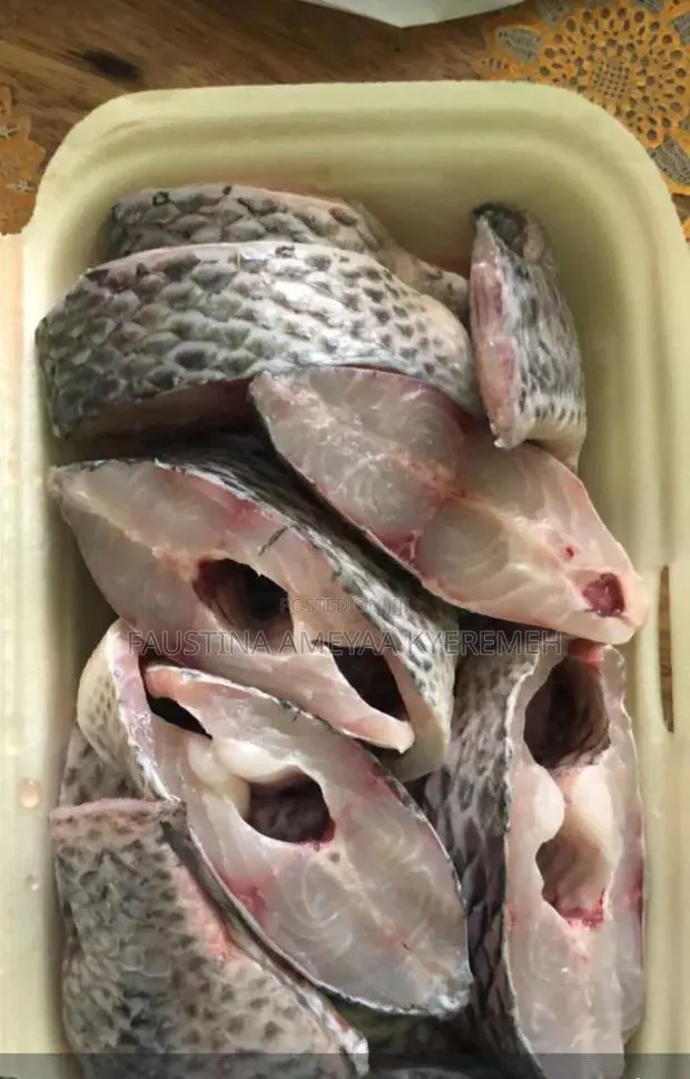 Fresh Tilapia for Sale – Clean, Big Affordable (Pickup Delivery) · Photo 1