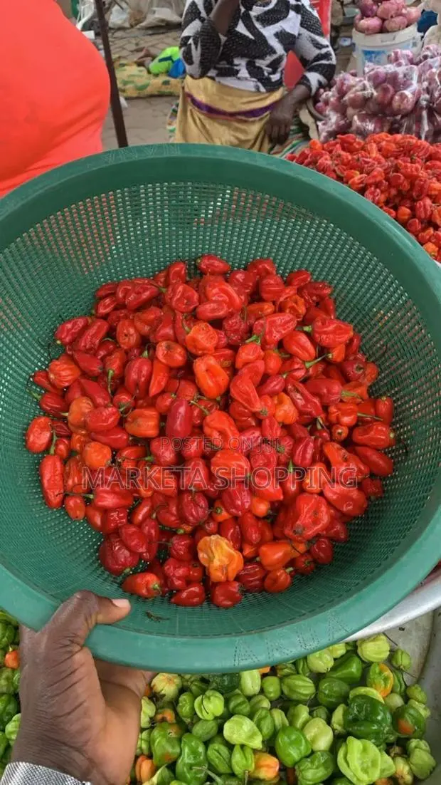 Fresh Red Pepper · Photo 1