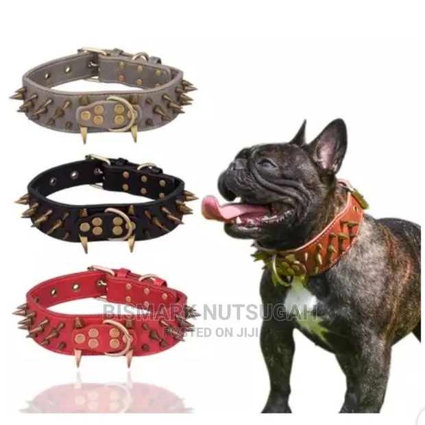 Dogs Chain for Sale · Photo 1