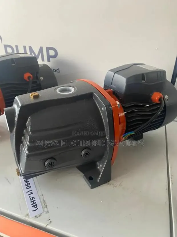 Transfer Water With Leo 1.5hp Cast Water Pump · Photo 1